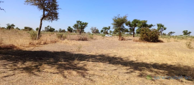 terrain-de-1200-metres-carres-a-malicounda-big-0