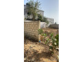 terrain-de-400-metres-carres-a-saly-small-2