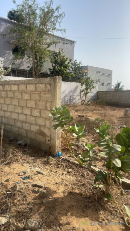 terrain-de-400-metres-carres-a-saly-big-2