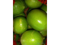 du-citron-a-vendre-small-1