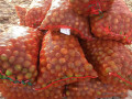 du-citron-a-vendre-small-4