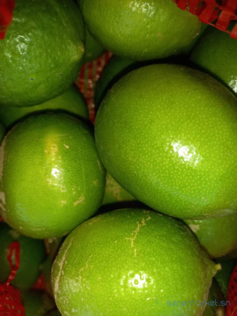 du-citron-a-vendre-big-1