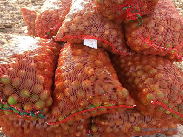 du-citron-a-vendre-big-4