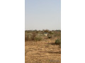 terrain-de-500-metres-carres-a-gandigal-mbour-small-0