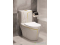 chaise-anglaise-chaise-americaine-chaise-suspendue-cabine-de-douche-small-1