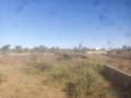 terrain-de-900-metres-carres-a-mbourgandigal-small-2