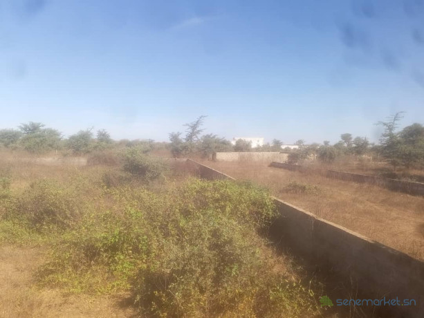 terrain-de-900-metres-carres-a-mbourgandigal-big-4