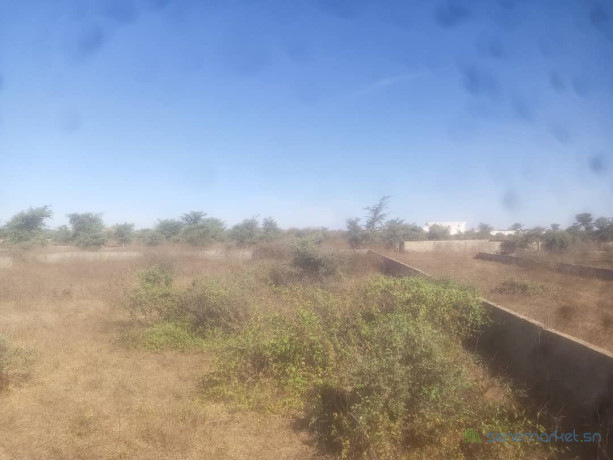 terrain-de-900-metres-carres-a-mbourgandigal-big-2