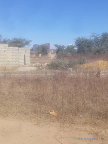 terrain-de-900-metres-carres-a-mbourgandigal-big-0