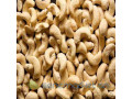vente-de-noix-dacajou-small-0