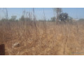a-vendre-a-ngaparou-dans-une-zone-residentiel-un-grand-terrain-de-3700m2-small-0
