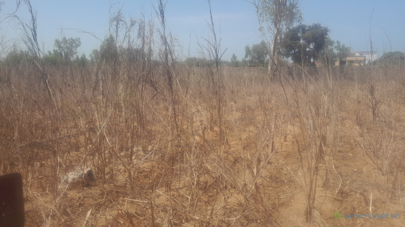 a-vendre-a-ngaparou-dans-une-zone-residentiel-un-grand-terrain-de-3700m2-big-0