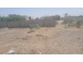 a-vendre-a-saly-tapee-extension-un-terrain-de-300m2-dans-un-quartier-en-plein-developpement-small-2