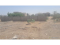 a-vendre-a-saly-tapee-extension-un-terrain-de-300m2-dans-un-quartier-en-plein-developpement-small-1