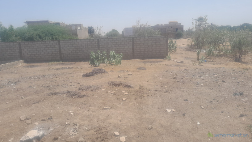 a-vendre-a-saly-tapee-extension-un-terrain-de-300m2-dans-un-quartier-en-plein-developpement-big-2