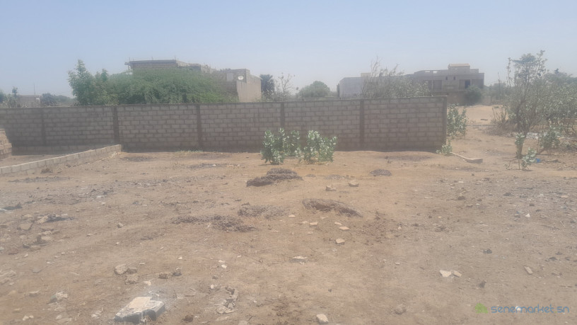 a-vendre-a-saly-tapee-extension-un-terrain-de-300m2-dans-un-quartier-en-plein-developpement-big-1