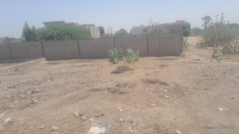 a-vendre-a-saly-tapee-extension-un-terrain-de-300m2-dans-un-quartier-en-plein-developpement-big-0