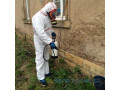 desinsectisation-phytosanitaire-small-0