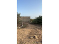 terrain-de-300-metres-carres-a-saly-small-2