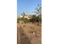 terrain-de-300-metres-carres-a-saly-small-0
