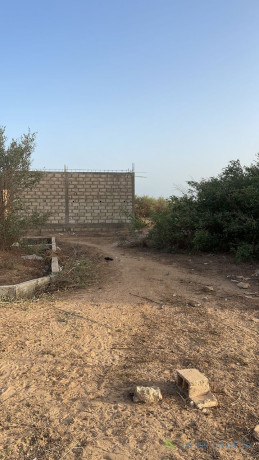 terrain-de-300-metres-carres-a-saly-big-2