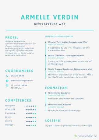 creation-et-vente-de-cv-big-0