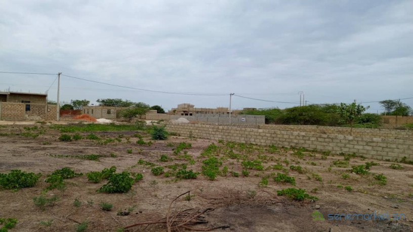 terrain-de-300-metres-carres-a-la-somone-big-2