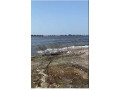 terrain-lac-rose-pied-dans-leau-small-2