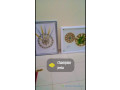 vente-des-tableaux-dart-small-4