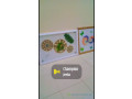vente-des-tableaux-dart-small-3