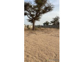 terrain-de-600-metres-carres-a-malicounda-small-0