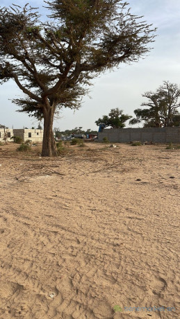 terrain-de-600-metres-carres-a-malicounda-big-0