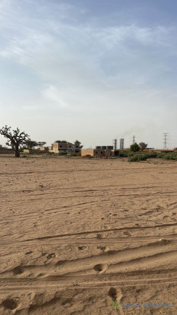 terrain-de-600-metres-carres-a-malicounda-big-1