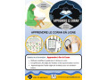 apprendre-le-coran-en-ligne-small-1
