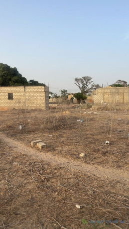 terrain-350-metres-carres-a-saly-big-1
