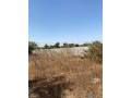 terrain-a-vendre-a-diass-small-1