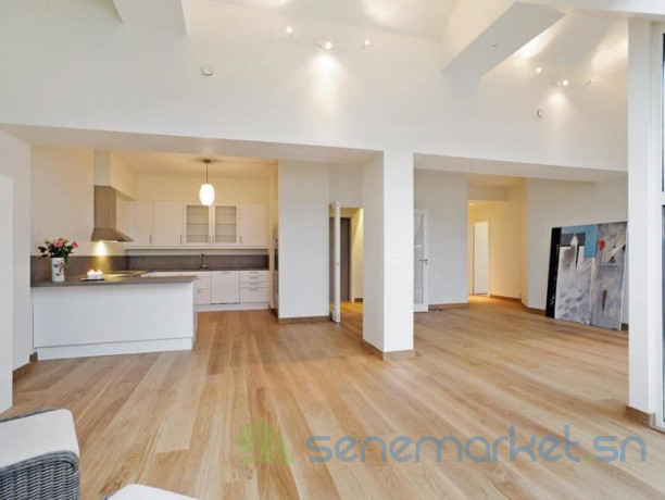 appartement-a-vendre-liberte-6-big-0
