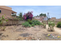 terrain-de-400-metres-carres-a-saly-velingara-small-0