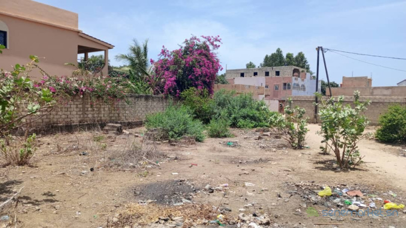 terrain-de-400-metres-carres-a-saly-velingara-big-0