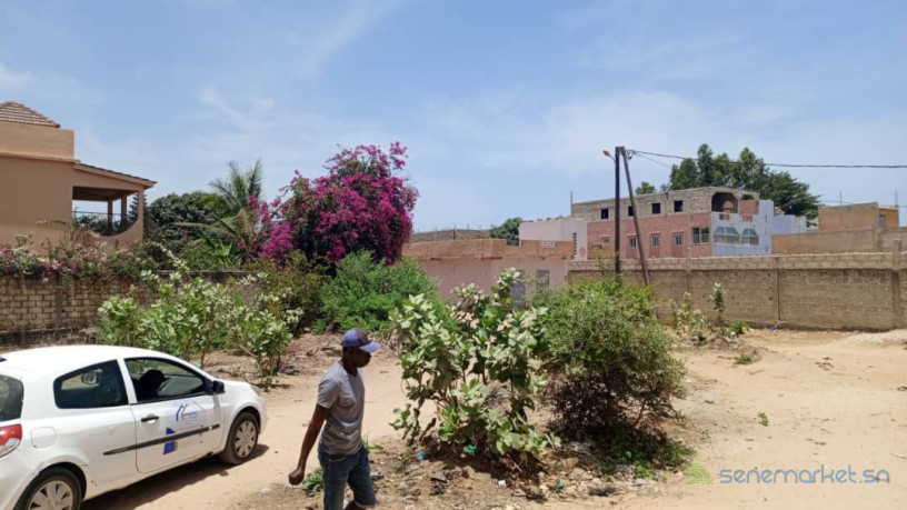 terrain-de-400-metres-carres-a-saly-velingara-big-1