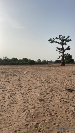 terrain-de-1-hectare-a-malicounda-big-3