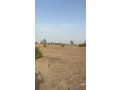 terrain-de-8000-metres-carres-a-malicounda-small-3