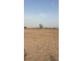 terrain-de-8000-metres-carres-a-malicounda-small-0