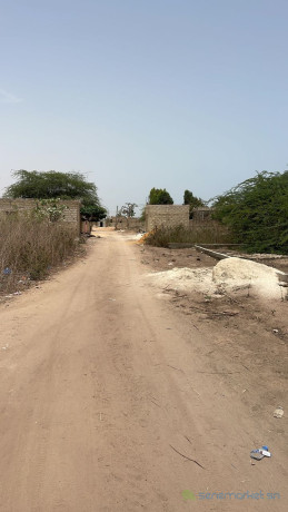 terrain-de-300-metres-carres-a-nguekhokh-big-3