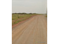 offre-de-terrains-viabilises-a-diamniadio-pud-small-4