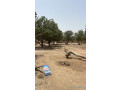 terrain-de-250-metres-carres-a-saly-small-1