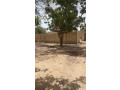 terrain-de-250-metres-carres-a-saly-small-2
