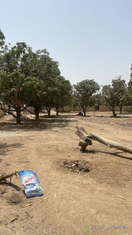 terrain-de-250-metres-carres-a-saly-big-1