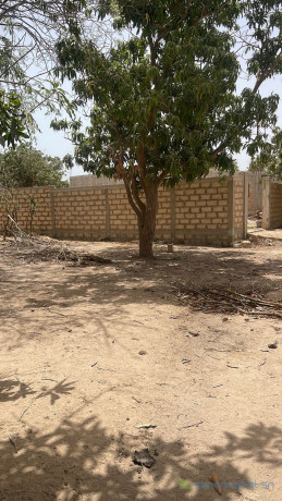 terrain-de-250-metres-carres-a-saly-big-2