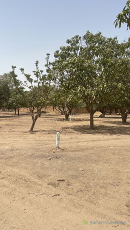 terrain-de-250-metres-carres-a-saly-big-0